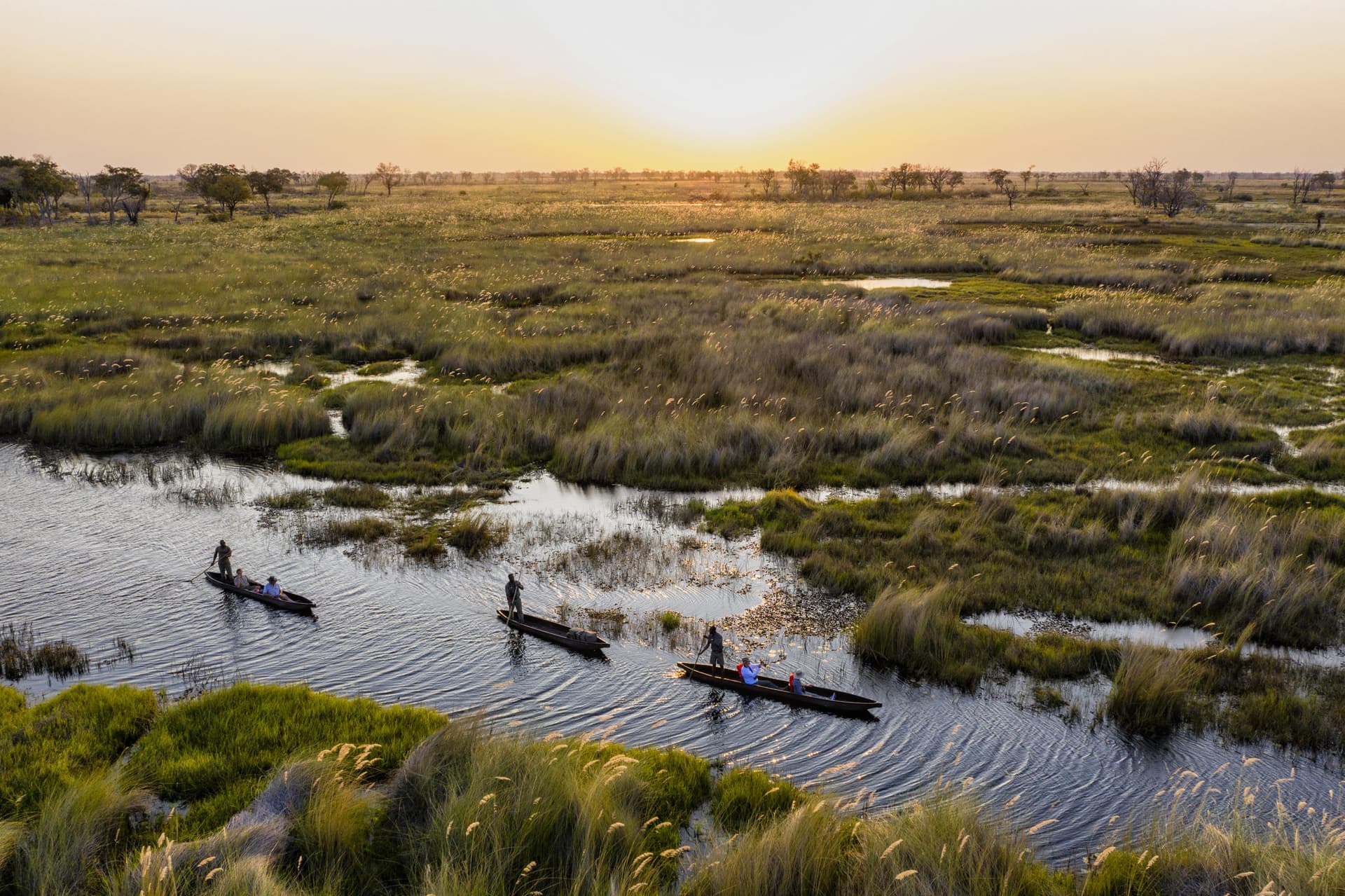 Three mokoro canoes being poled through Okavango channels at dusk, reeds and water stretching to the horizon