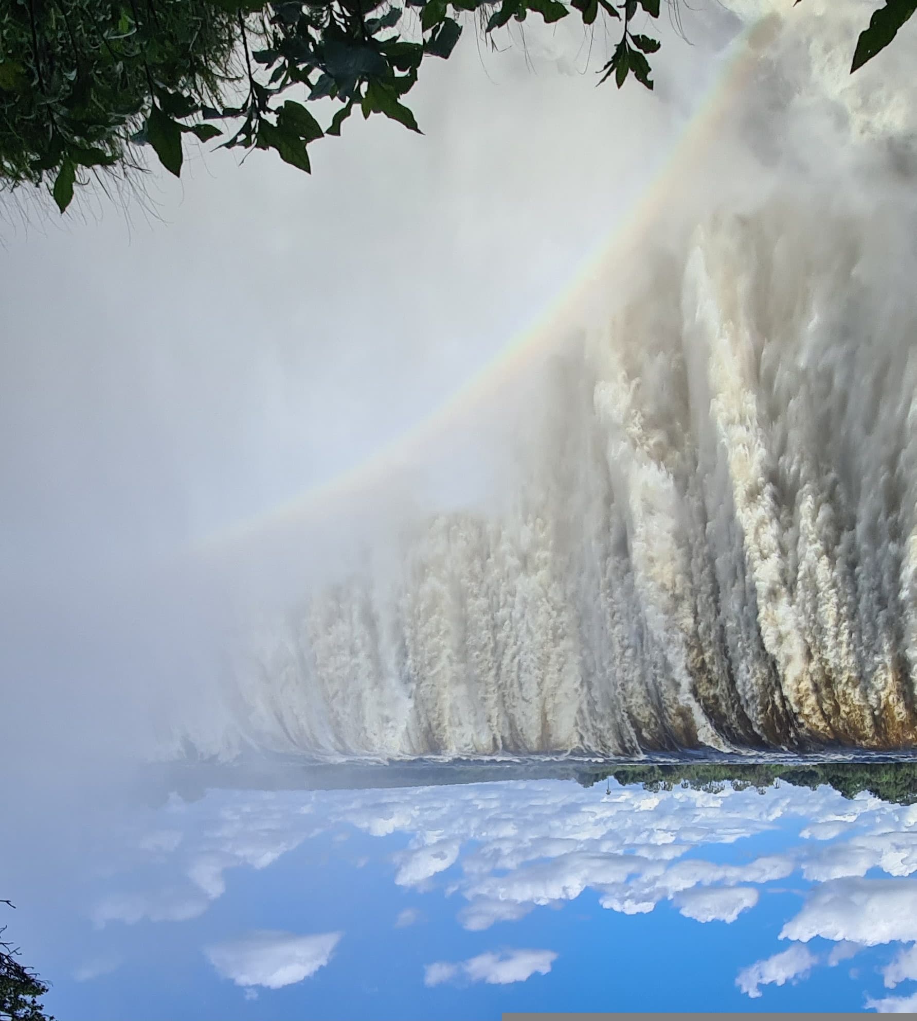 Victoria Falls as a wall of water and spray, a rainbow in the mist, leaves hanging into the frame